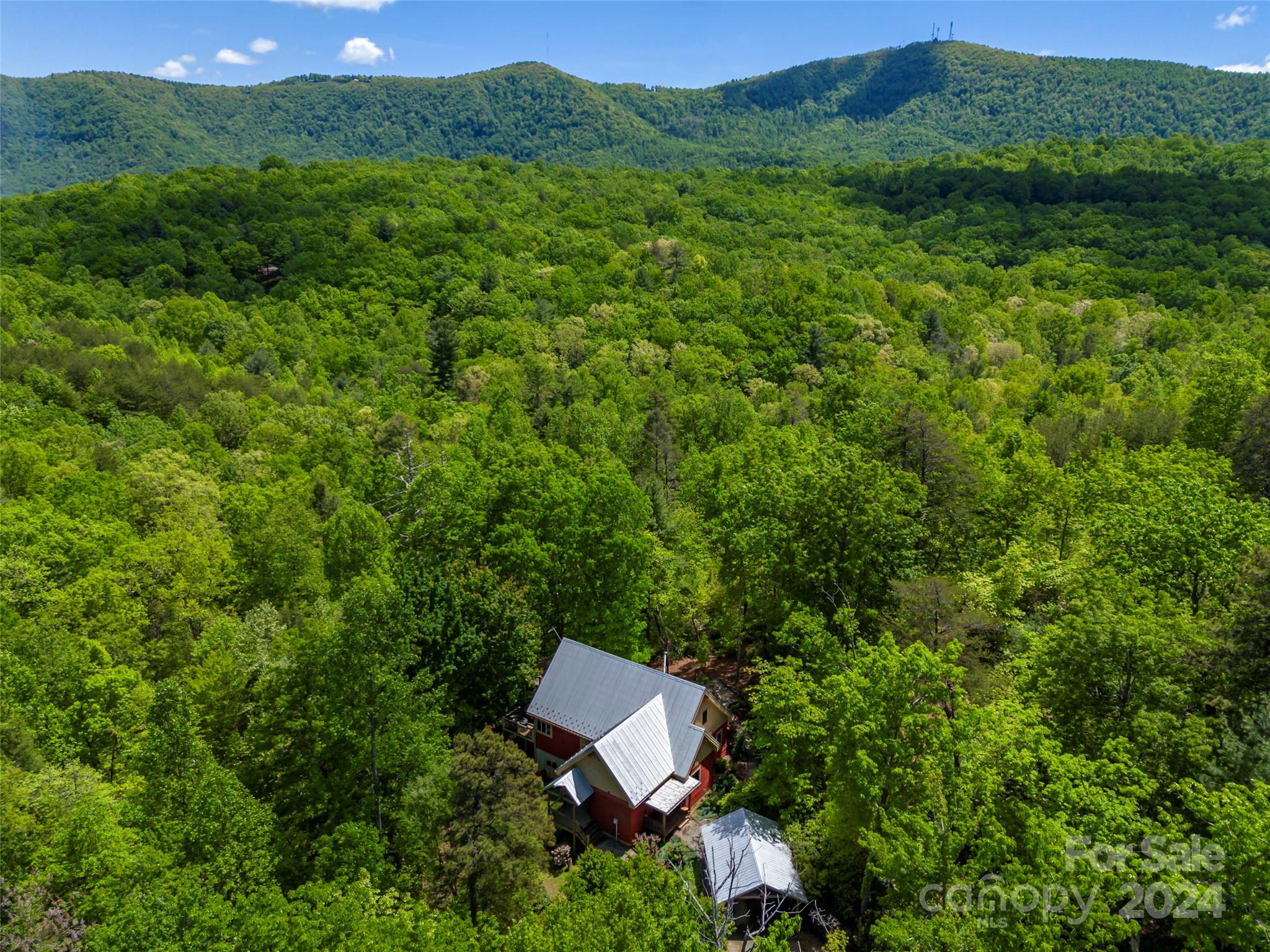 58 Next To The Last Road Saluda, NC 28773 - Photo 48 of 48 a view of a lush green forest from a building