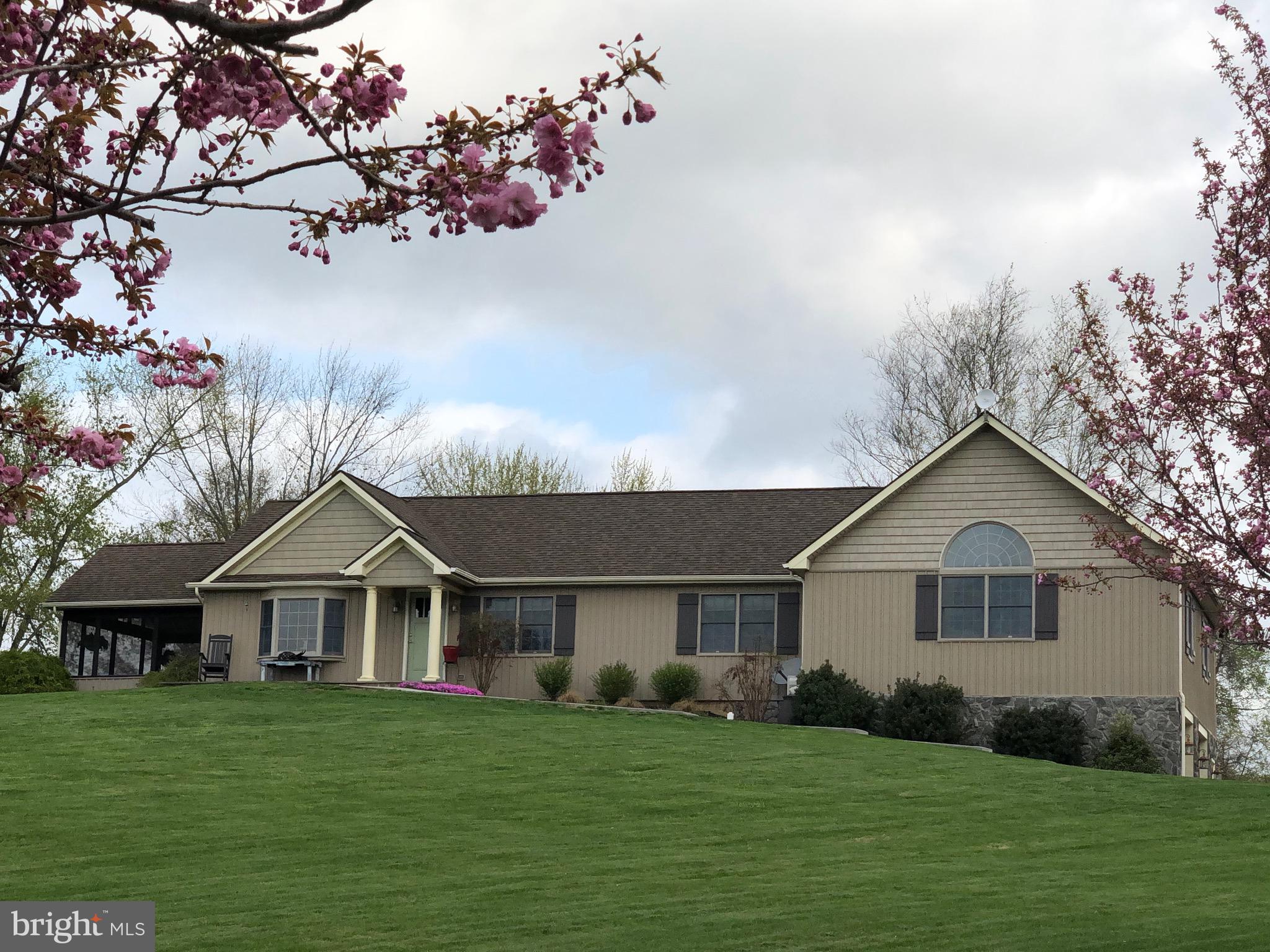 A dream come true home