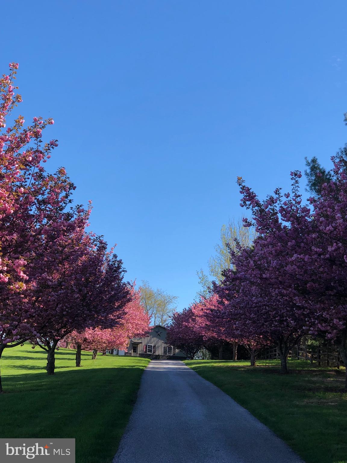 Scenic driveway welcoming you home