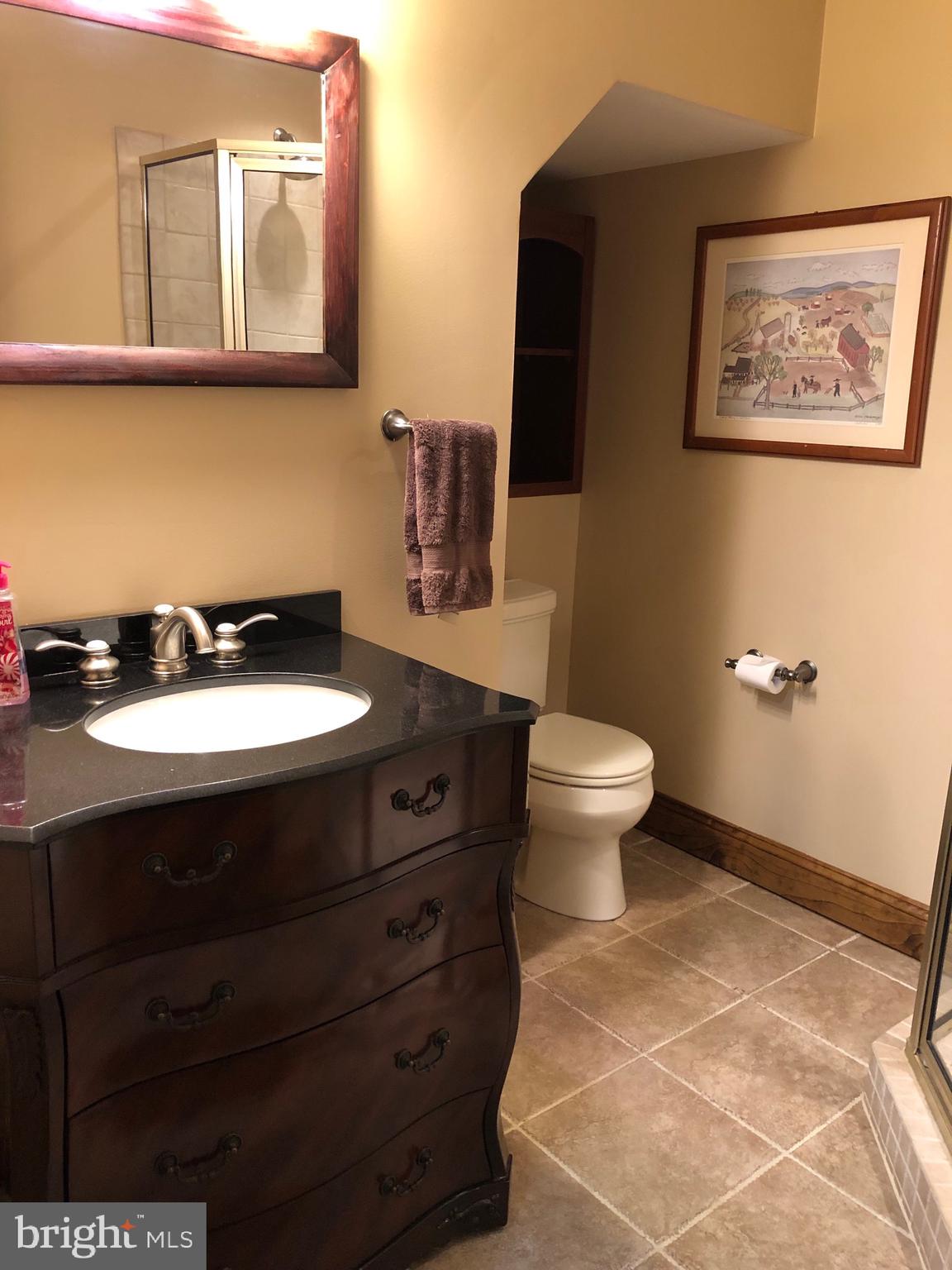 2866 Kump Station Road Taneytown, MD 21787 - Photo 27 of 47 Full bathroom on lower level