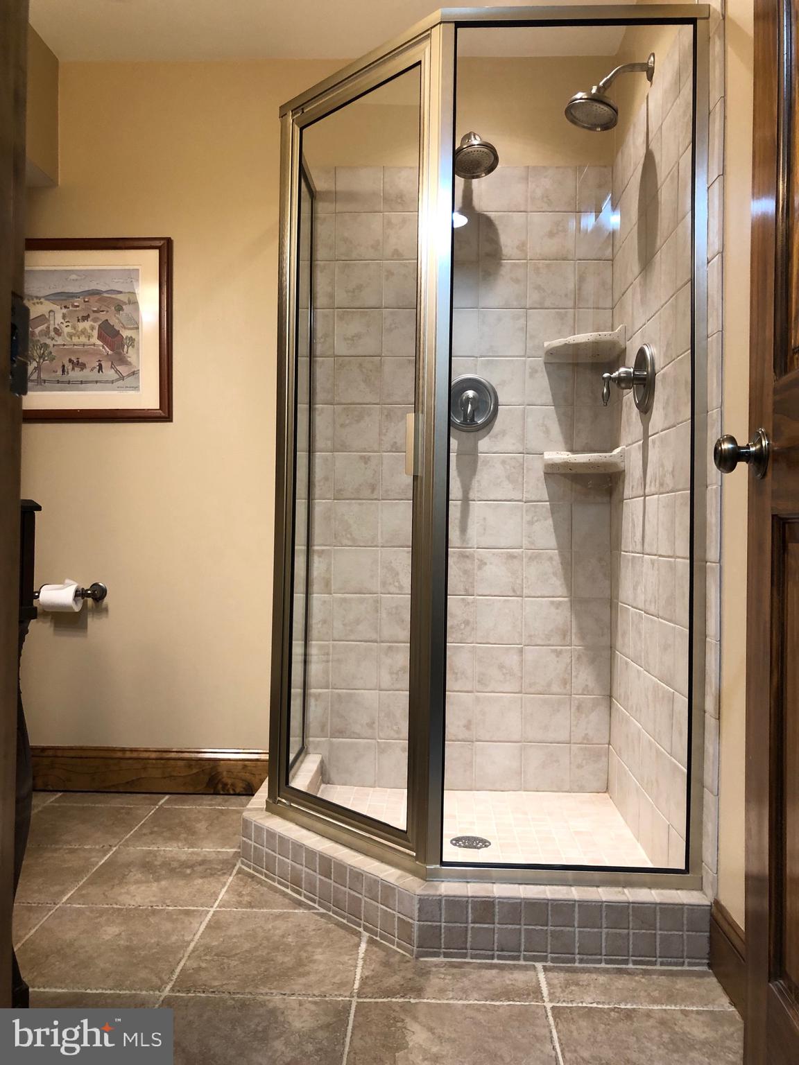 2866 Kump Station Road Taneytown, MD 21787 - Photo 28 of 47 Full lower level bathroom (#3 full bath)