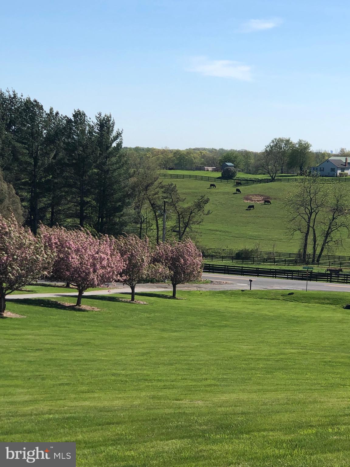 2866 Kump Station Road Taneytown, MD 21787 - Photo 42 of 47 The VIEWS!!!!!!!!!!!