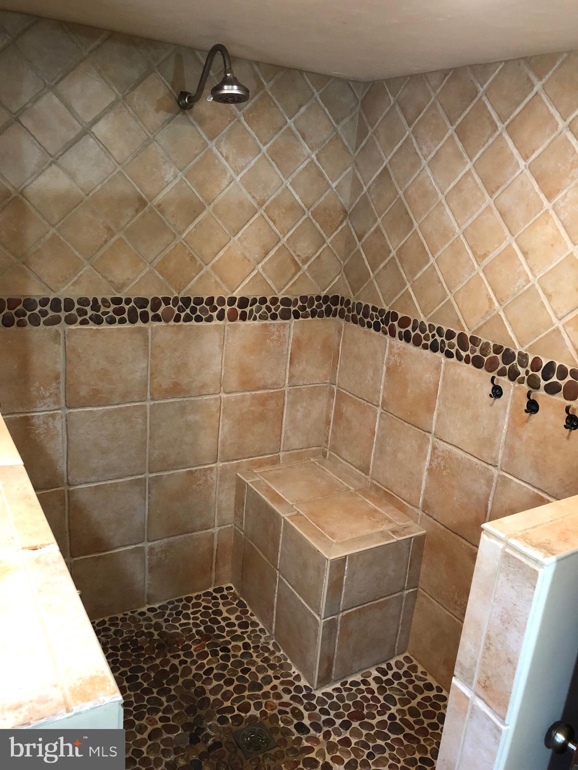 2866 Kump Station Road Taneytown, MD 21787 - Photo 10 of 47 amazing shower area in Full Bathroom