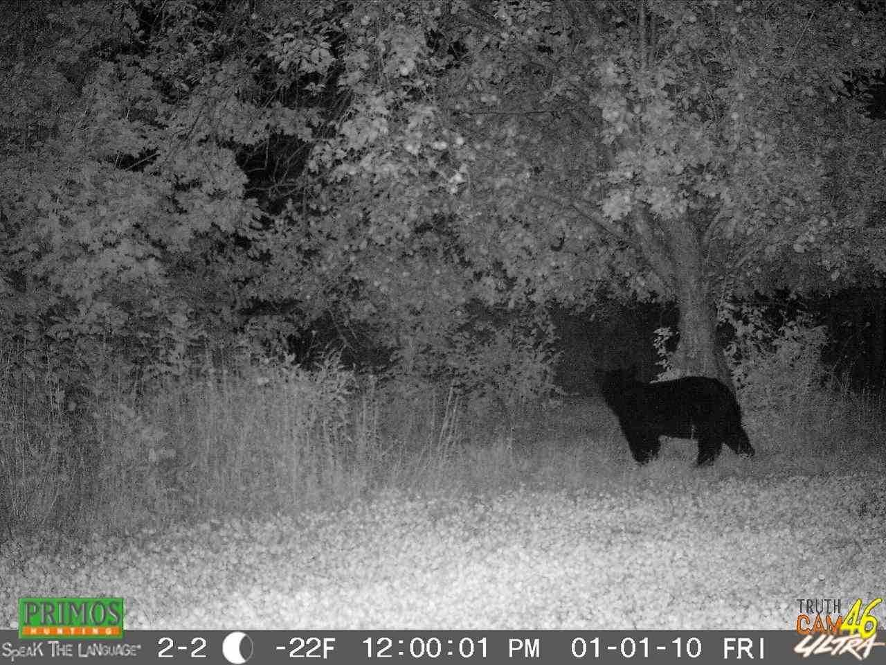 20517 13 Mile Road Copemish, MI 49625 - Photo 39 of 63 1809510-38.JPG