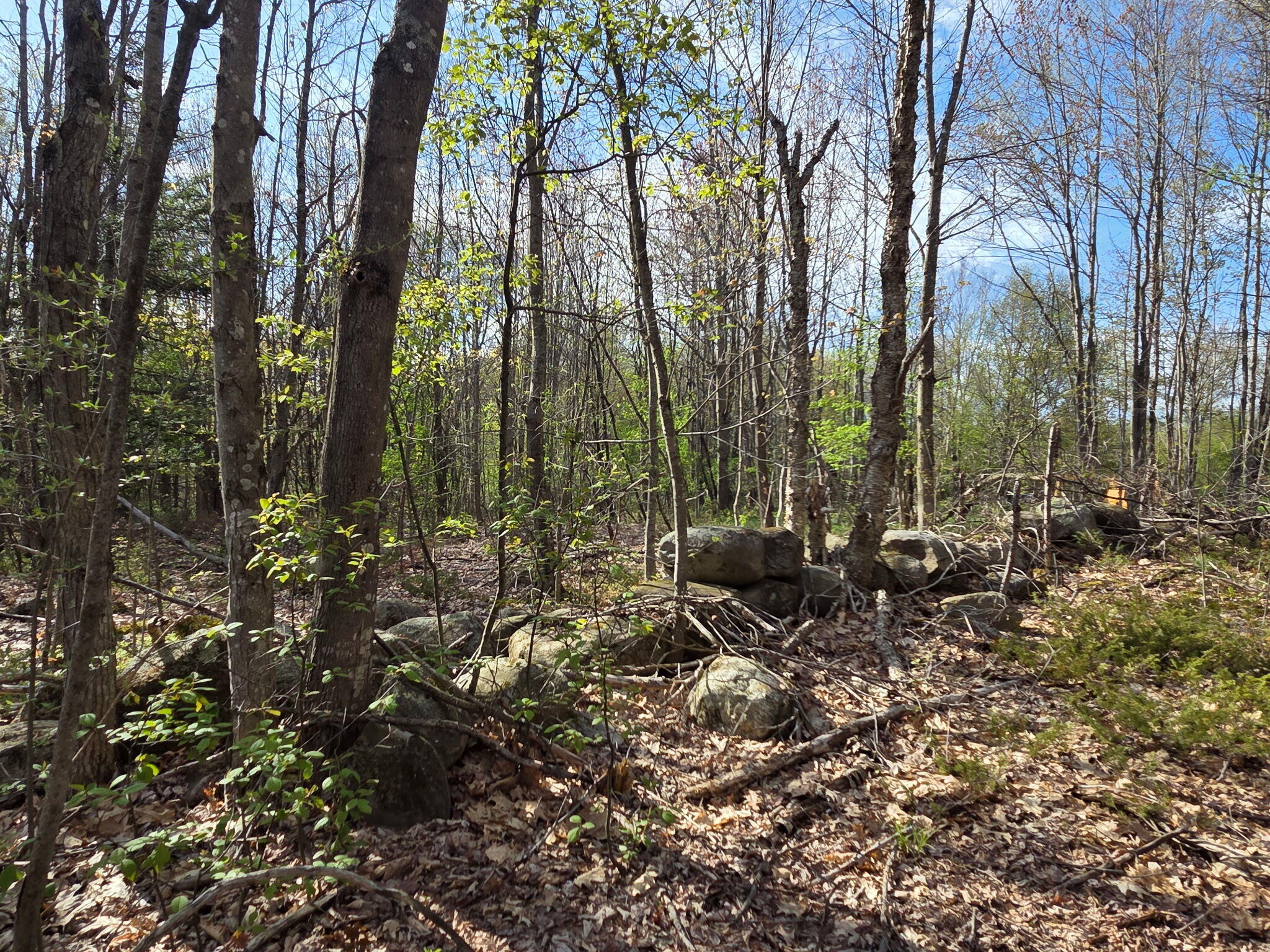 0 Fuller Road Jay, ME 04239 - Photo 4 of 7 1000015157