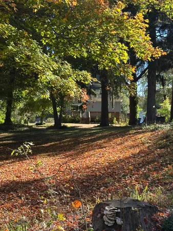 $184,500 | 513 North Water Street, Hart, MI 49420