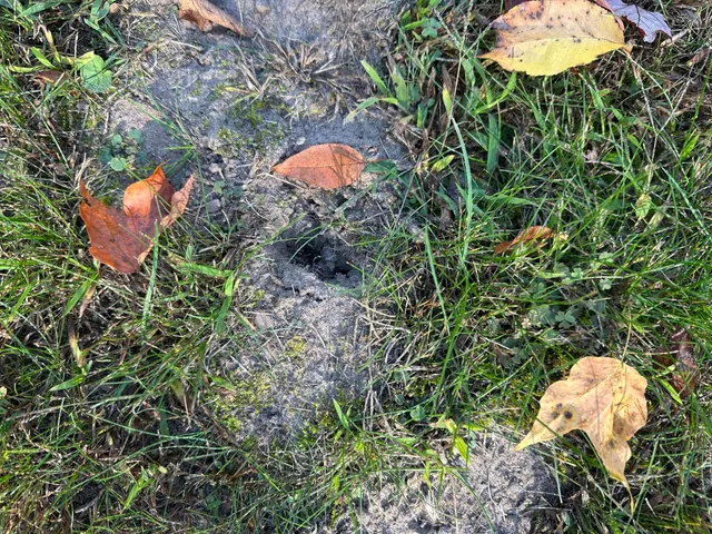 $184,500 | 513 North Water Street, Hart, MI 49420