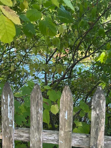 $184,500 | 513 North Water Street, Hart, MI 49420