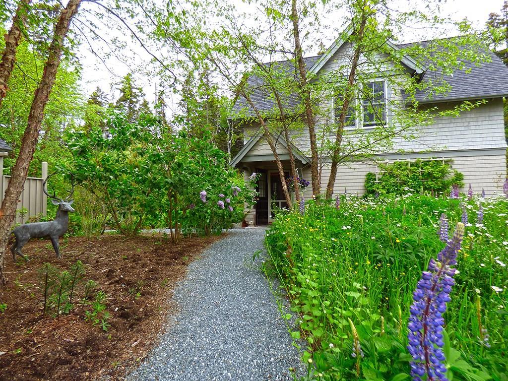 73 Lopaus Point Road Bernard, ME 04612 - Photo 29 of 33 Lovely path to the guest cottage.