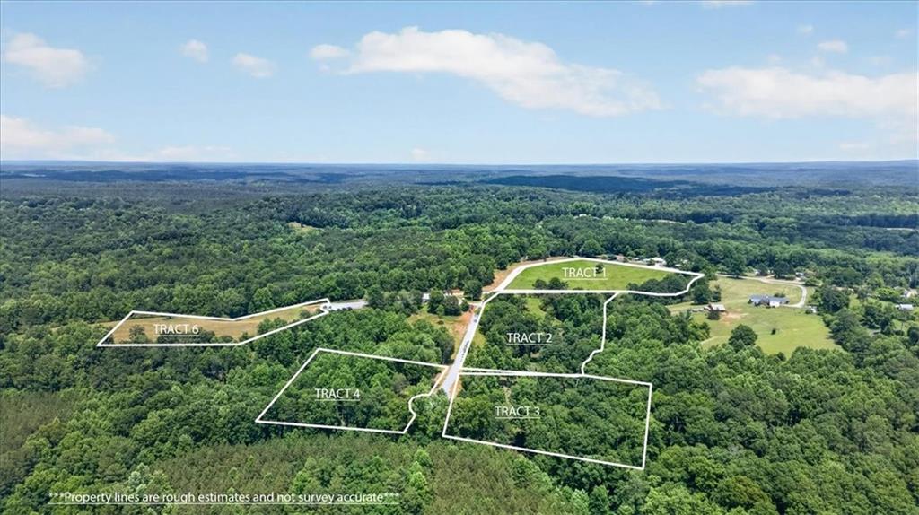 0 Conns Creek Road Ball Ground, GA 30107 - Photo 1 of 57