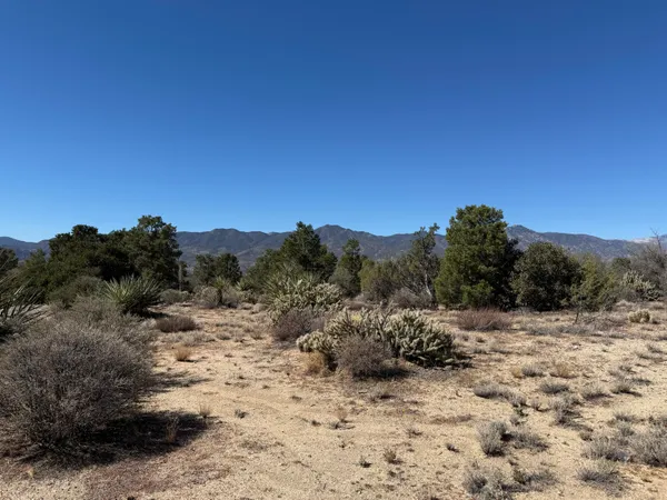 a view of a covered with trees in the background