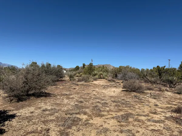 a view of a dry yard with mountains in the background