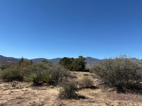 a view of a dry field