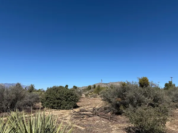 a view of a lake with a mountain in the background
