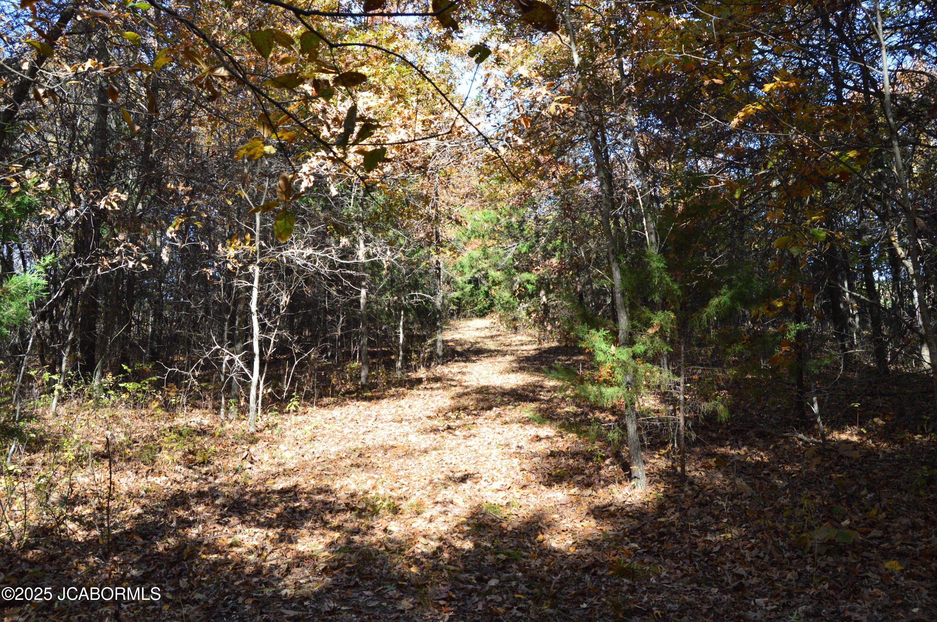0 Callaway County Road Auxvasse, MO 65231 - Photo 10 of 16
