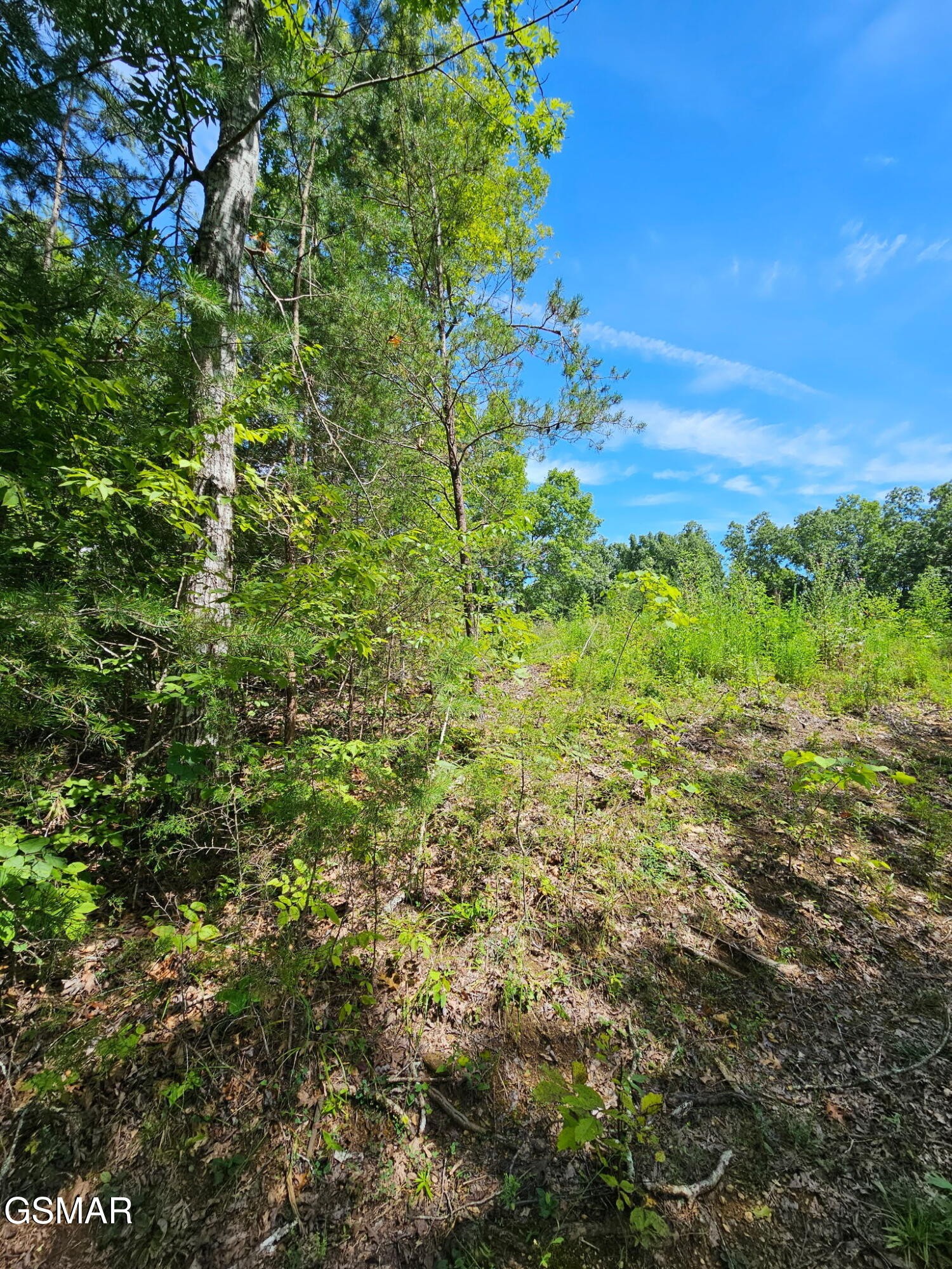 67910 Pleasure Road Sevierville, TN 37876 - Photo 15 of 20 Gallery Image 15