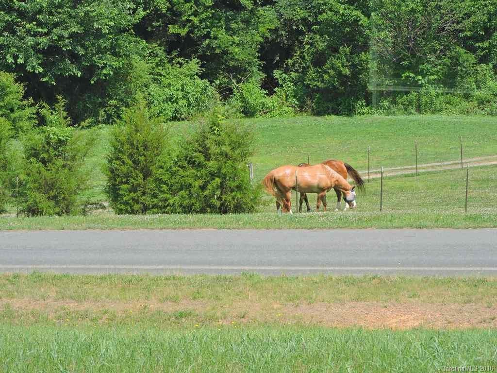 31086 Coley Farm Road Albemarle, NC 28001 - Photo 20 of 22 Gallery Image 20