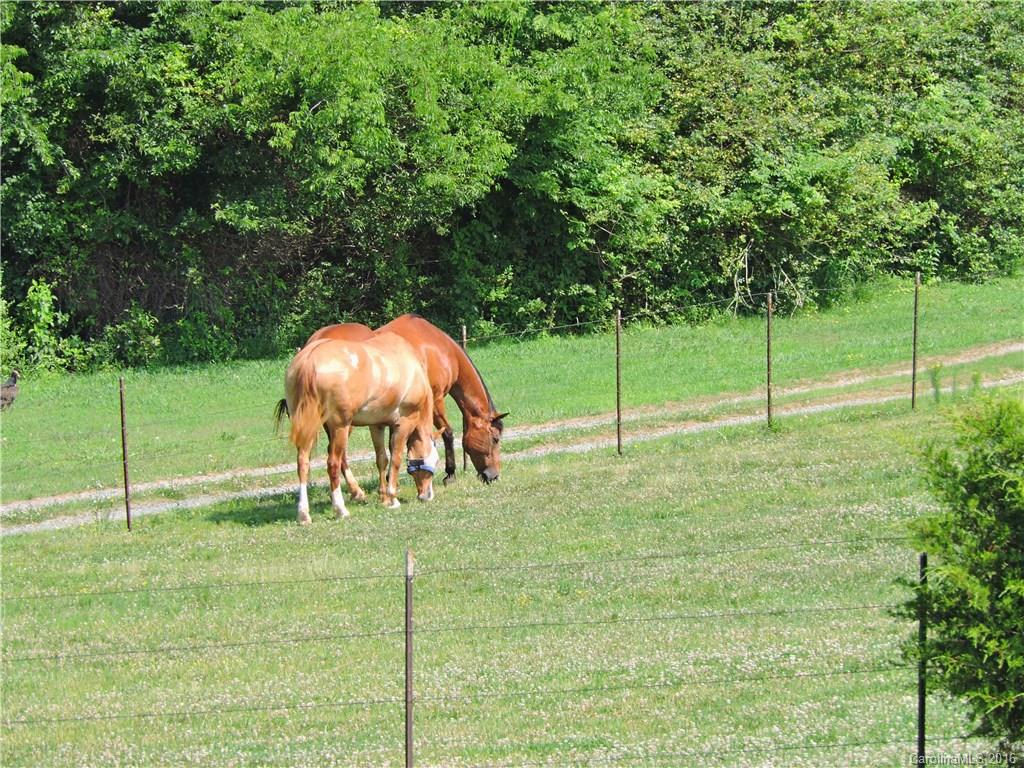 31086 Coley Farm Road Albemarle, NC 28001 - Photo 21 of 22 Gallery Image 21