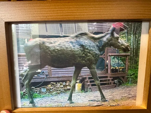 $58,500 | Lot 1 Off Bear Brook Road, Wesley, ME 04686