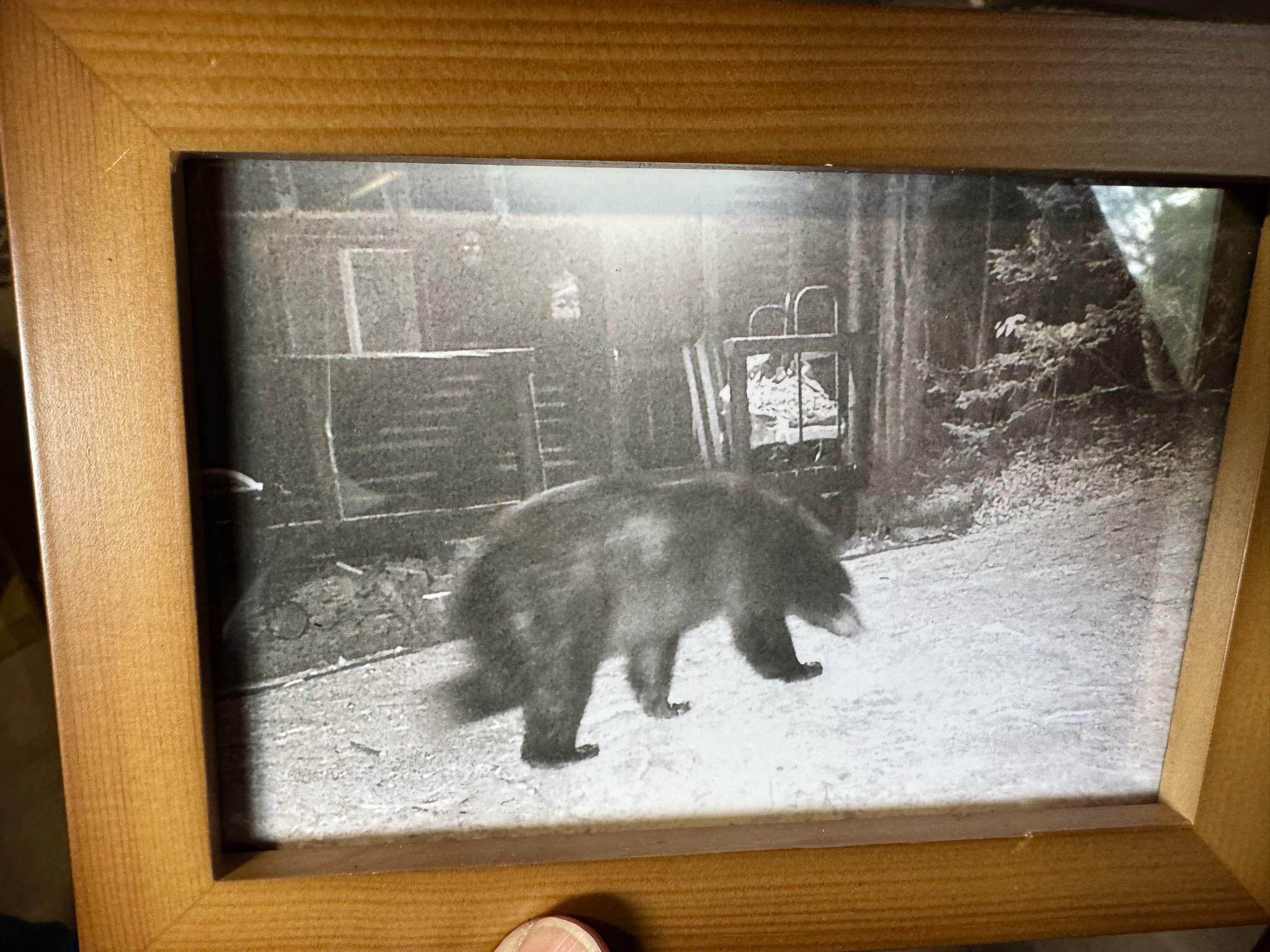 Lot 1 Off Bear Brook Road Wesley, ME 04686 - Photo 17 of 21 16