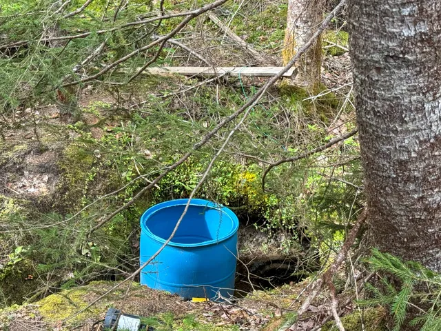 $58,500 | Lot 1 Off Bear Brook Road, Wesley, ME 04686