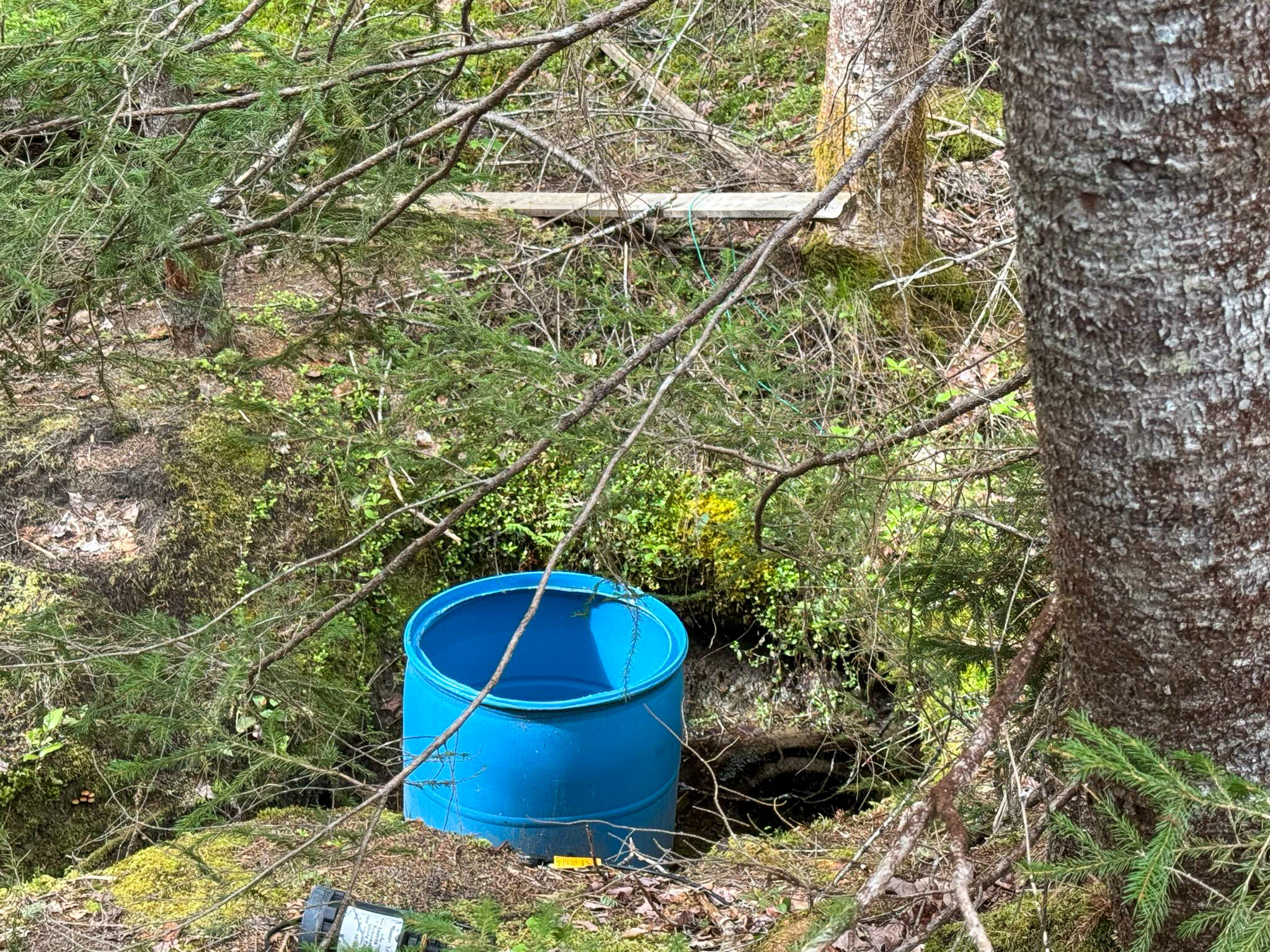 Lot 1 Off Bear Brook Road Wesley, ME 04686 - Photo 19 of 21 18