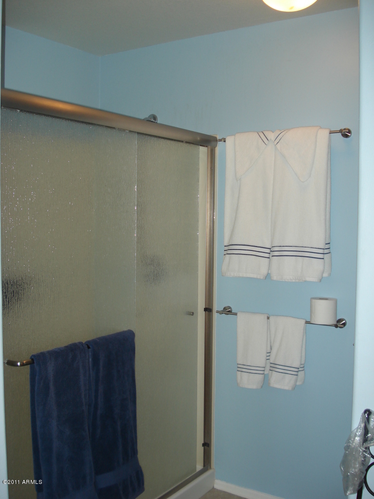 4155 East Rockledge Road Phoenix, AZ 85044 - Photo 11 of 17 Master shower