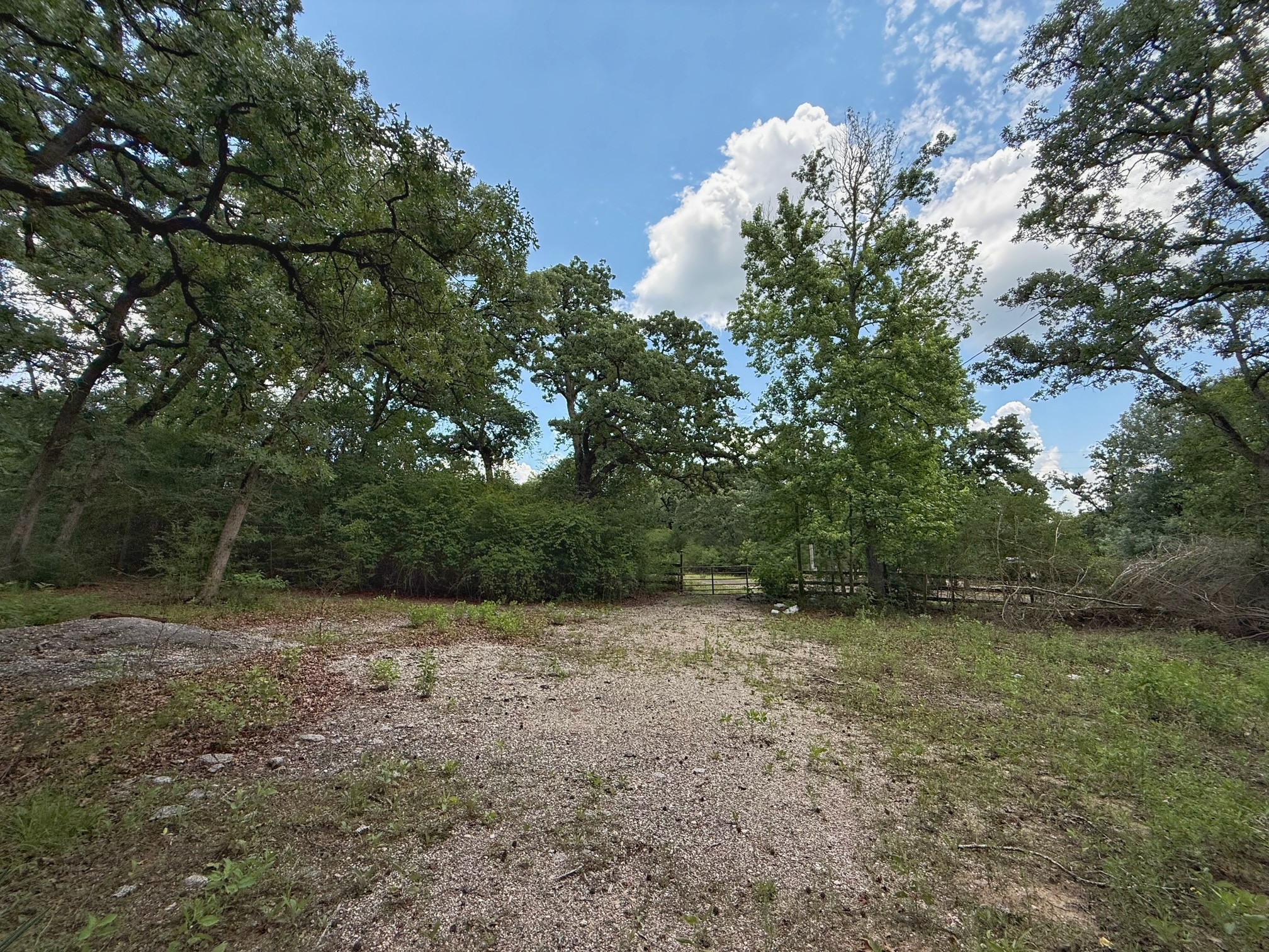 1491 County Road 1464 Centerville, TX 75833 - Photo 5 of 19 a view of a field with trees in it