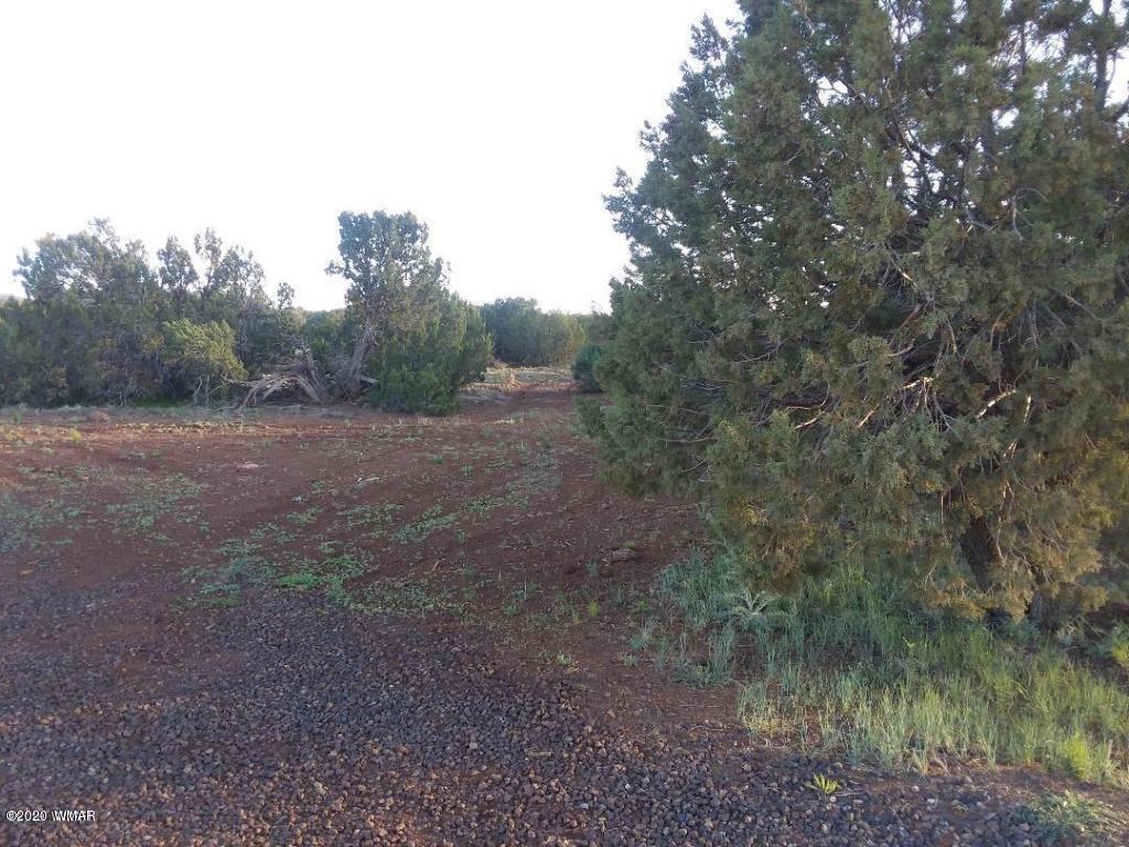 71 72 Show Low, AZ 85901 - Photo 1 of 3