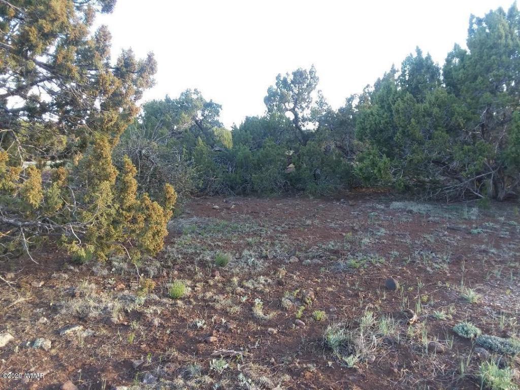 71 72 Show Low, AZ 85901 - Photo 2 of 3