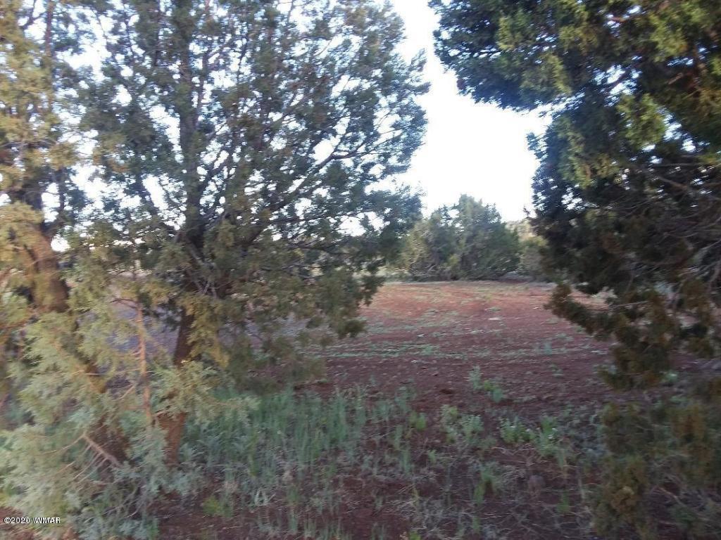 71 72 Show Low, AZ 85901 - Photo 3 of 3
