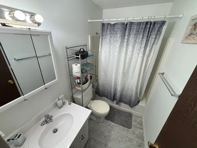 a bathroom with a sink a toilet a mirror and shower curtain