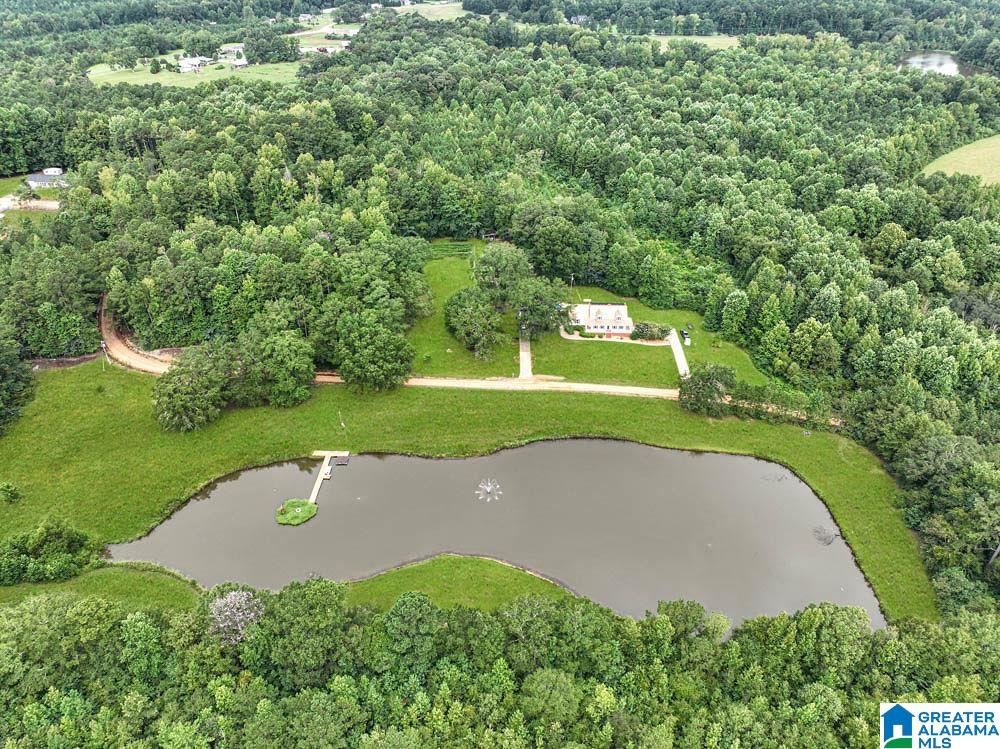 263 County Road 433 Clanton, AL 35045 - Photo 37 of 48