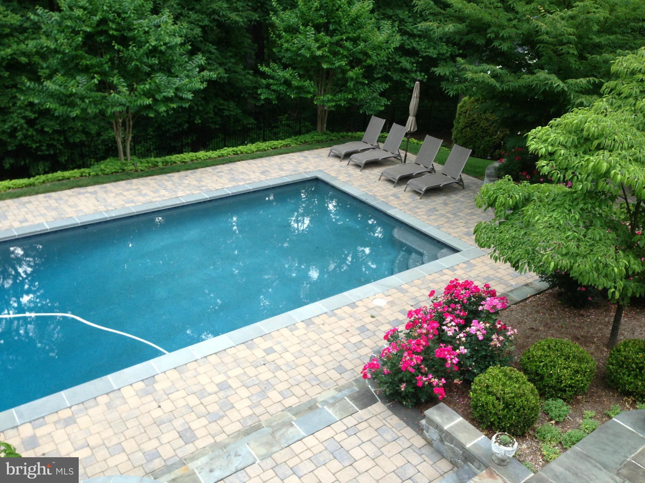 17421 Canby Road Leesburg, VA 20175 - Photo 26 of 30 Beautifully landscaped back yard with pool & patio