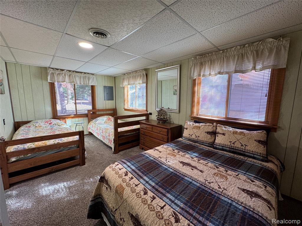 7099 Jose Lake Road South Branch, MI 48761 - Photo 33 of 81