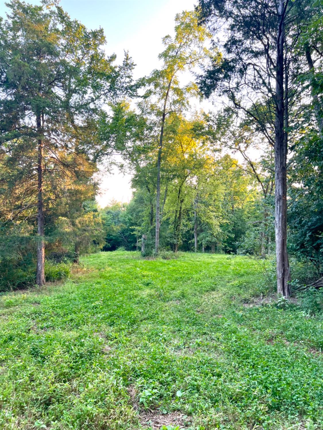 6960 Straight Creek Road Georgetown, OH 45121 - Photo 29 of 93