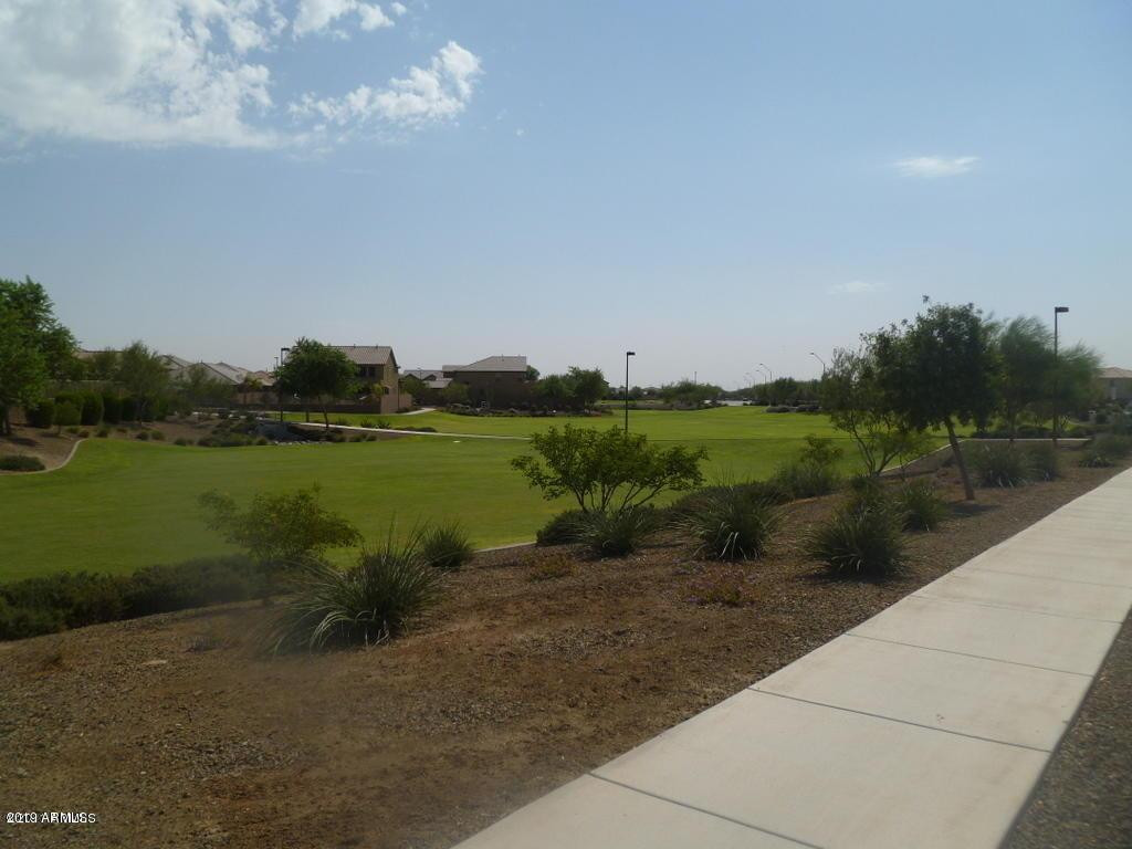 430 South 166th Avenue Goodyear, AZ 85338 - Photo 13 of 17 a view of a lake with a big yard
