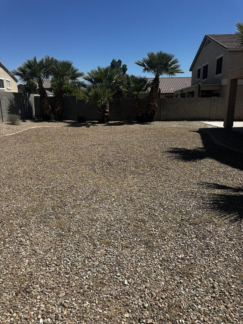 430 South 166th Avenue Goodyear, AZ 85338 - Photo 15 of 17 Photo #15
