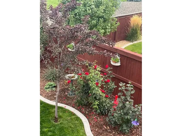 a picture of a tree with flower in front of it