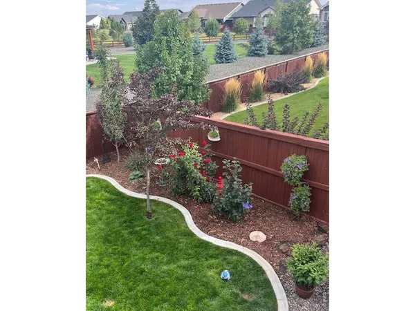 a view of a yard with potted plants