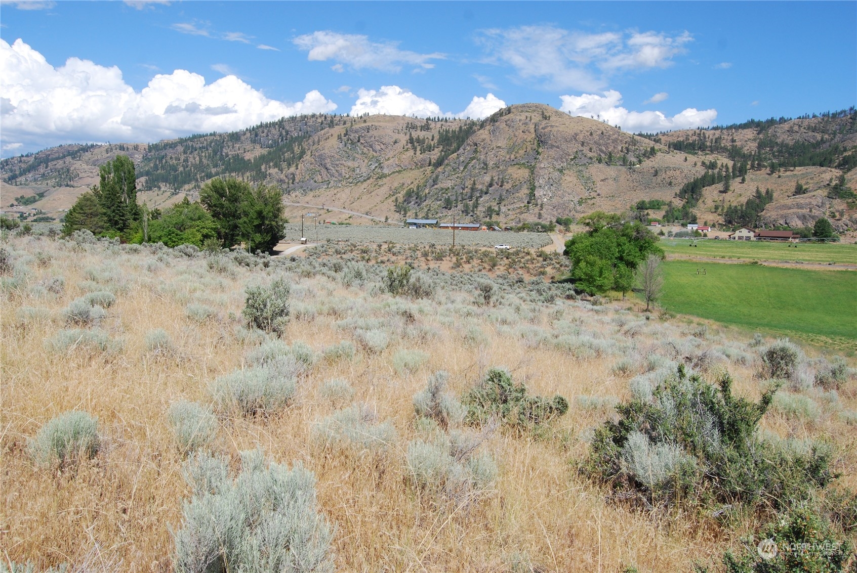 -tbd Pharr Road Riverside, WA 98849 - Photo 11 of 17 a view of a dry yard with mountains in the background