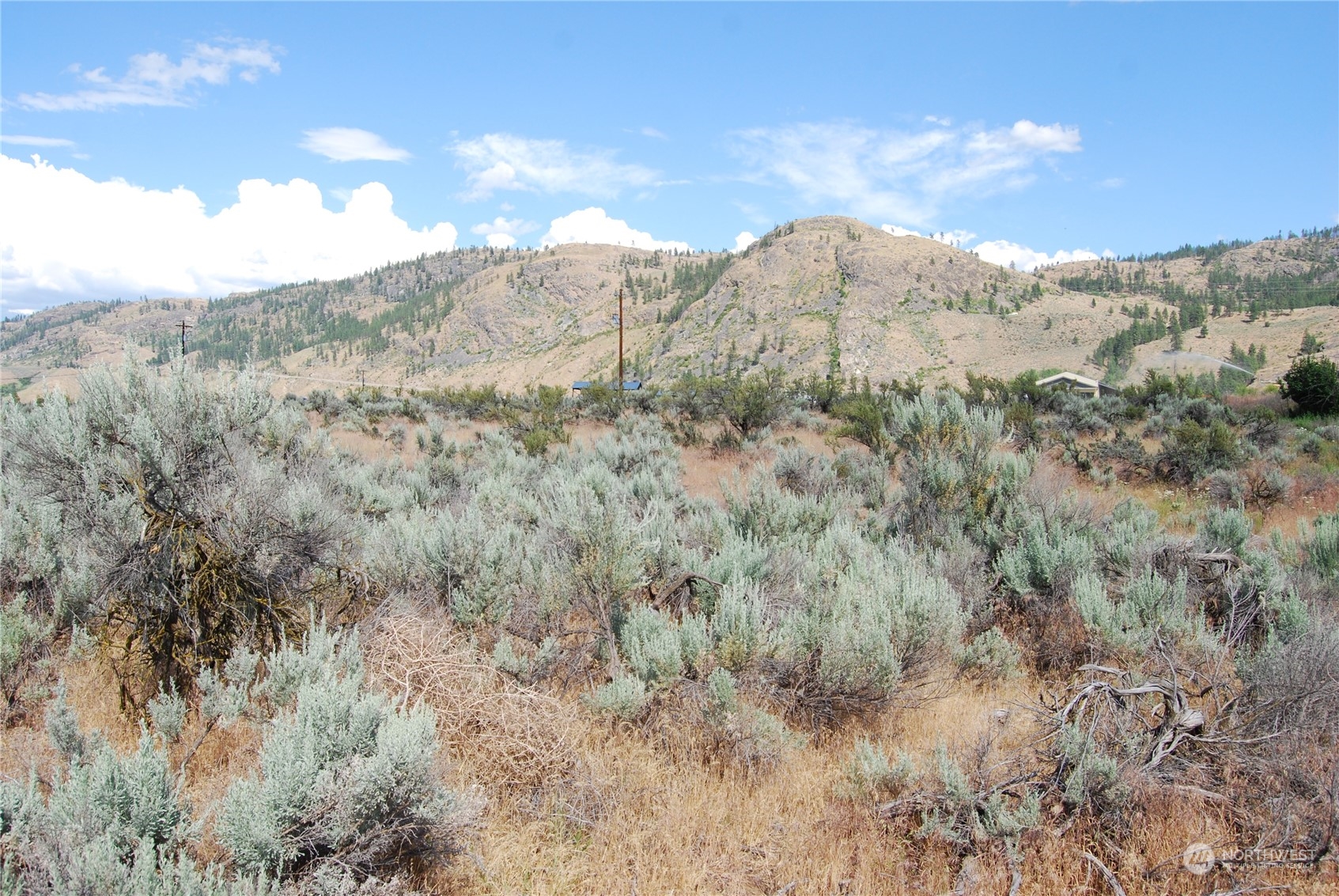 -tbd Pharr Road Riverside, WA 98849 - Photo 12 of 17 a view of a dry yard with mountains in the background