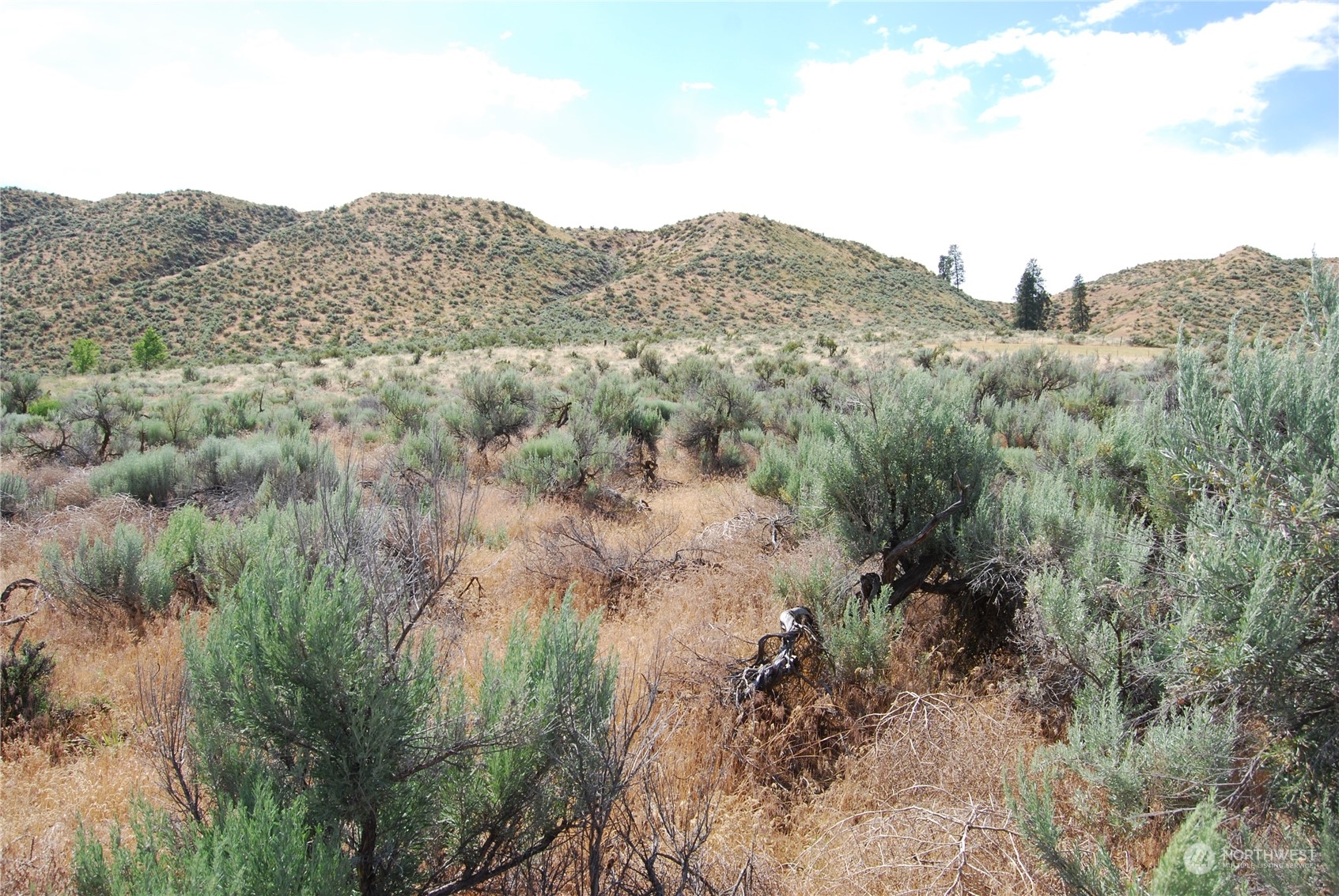 -tbd Pharr Road Riverside, WA 98849 - Photo 13 of 17 a view of a mountain in the distance in a field