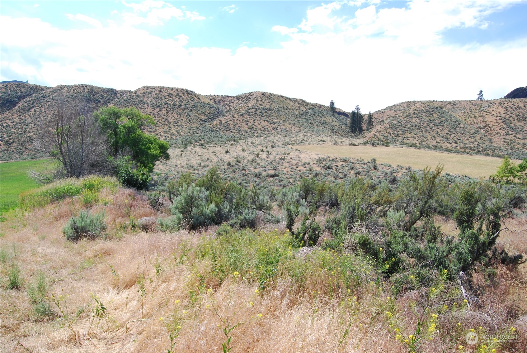 -tbd Pharr Road Riverside, WA 98849 - Photo 15 of 17 a view of a dry field