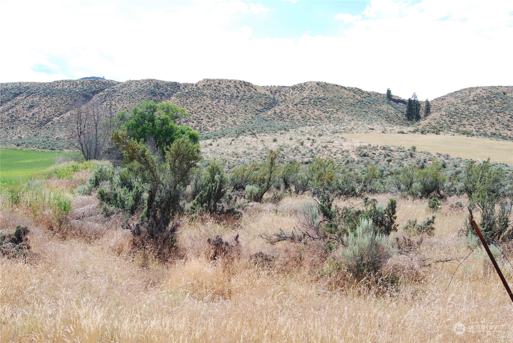 -tbd Pharr Road Riverside, WA 98849 - Photo 17 of 17 a view of a dry field