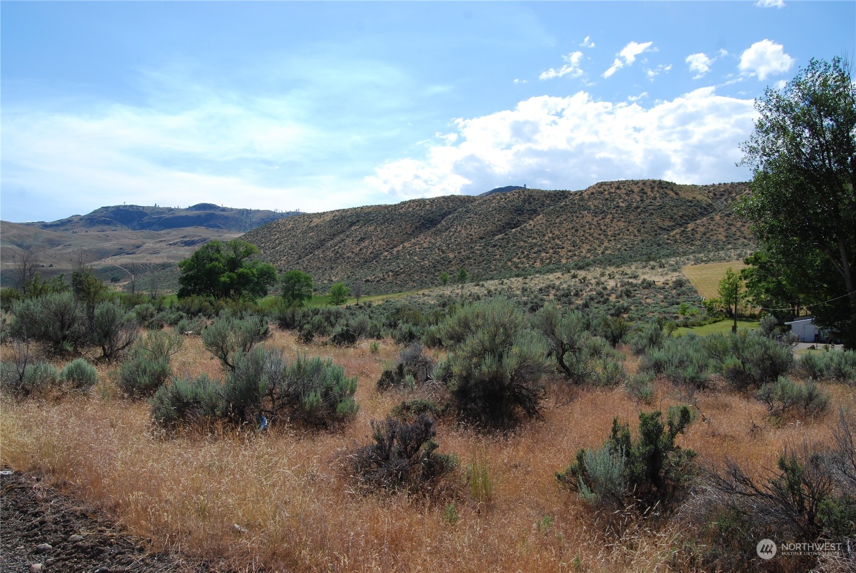 -tbd Pharr Road Riverside, WA 98849 - Photo 2 of 17 a view of a lake in middle of the forest