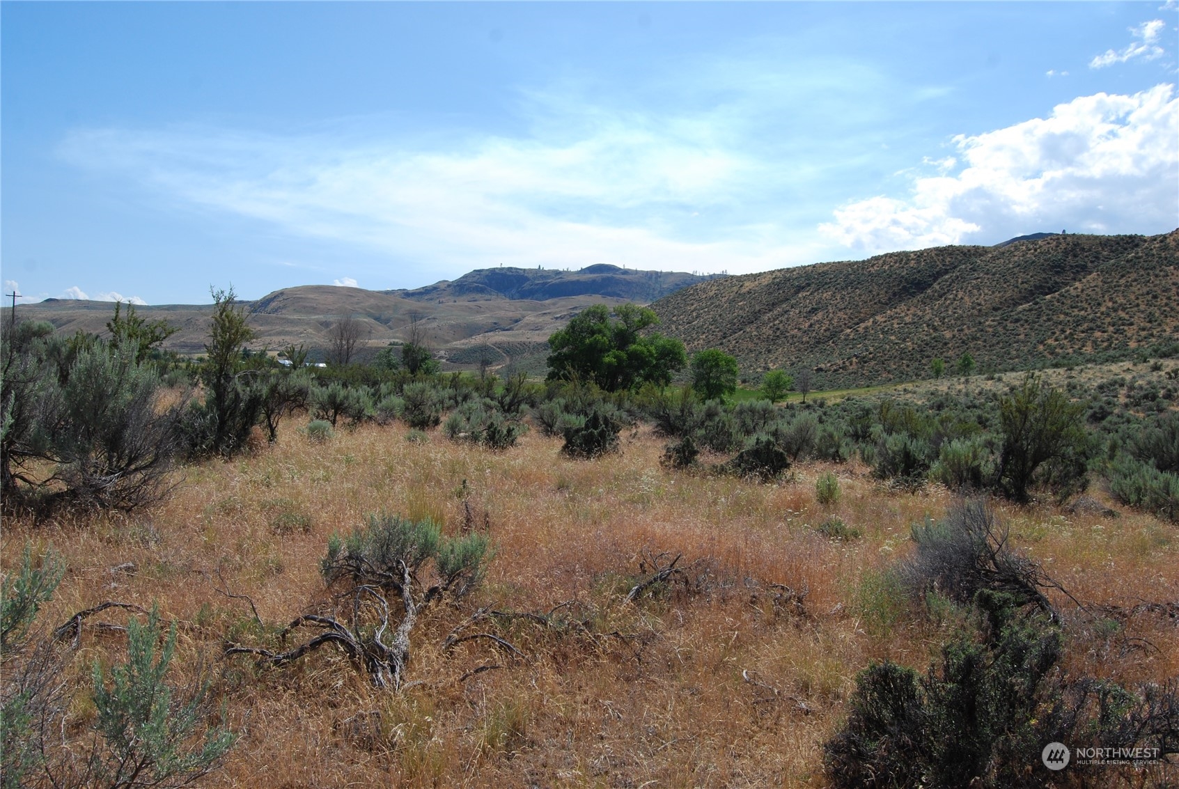 -tbd Pharr Road Riverside, WA 98849 - Photo 3 of 17 a view of a dry yard with green space
