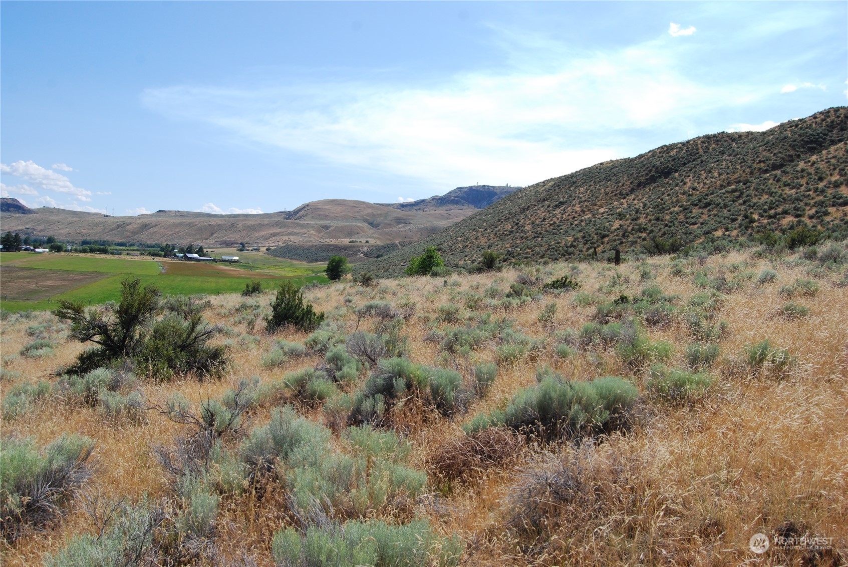 -tbd Pharr Road Riverside, WA 98849 - Photo 6 of 17 a view of a lush green field with mountains in the background