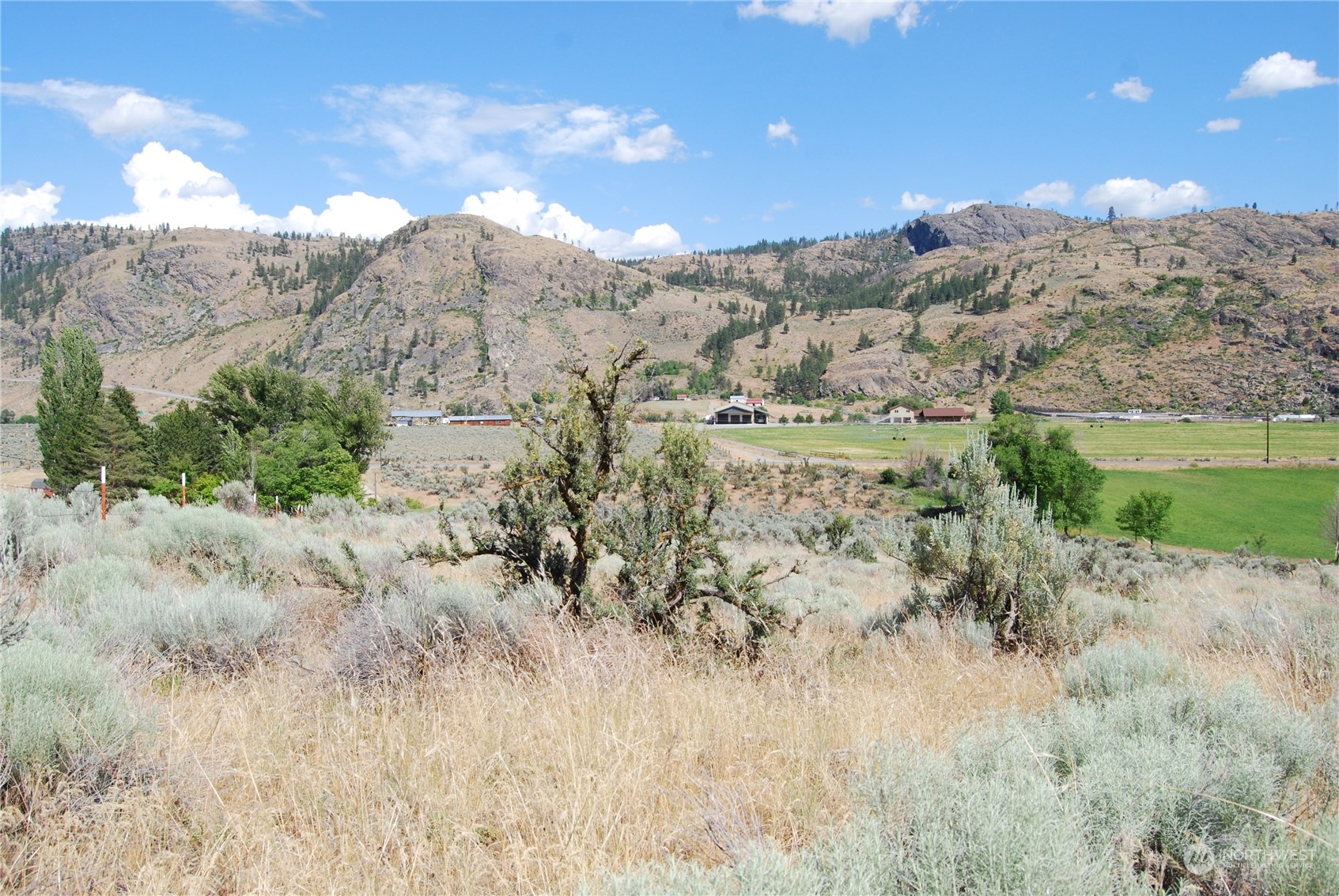 -tbd Pharr Road Riverside, WA 98849 - Photo 7 of 17 a view of a dry yard with mountains in the background