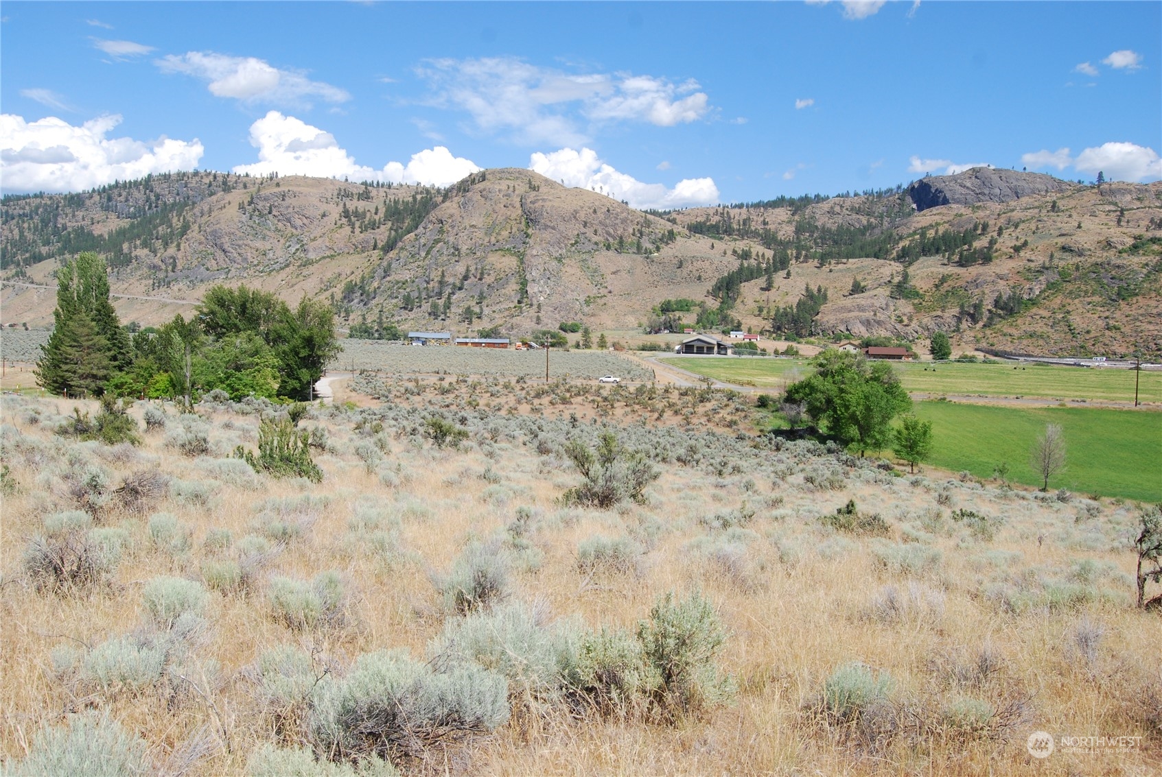 -tbd Pharr Road Riverside, WA 98849 - Photo 9 of 17 a view of a dry yard with mountains in the background
